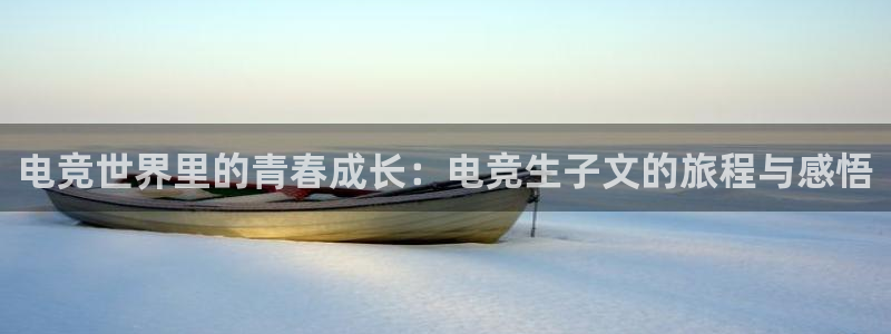 db电竞网页版：电竞世界里的青春成长：电竞生子文的旅程与感悟