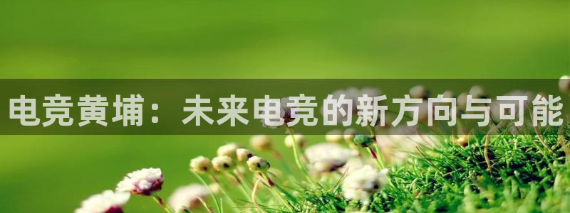 db电竞官网入口：电竞黄埔：未来电竞的新方向与可能