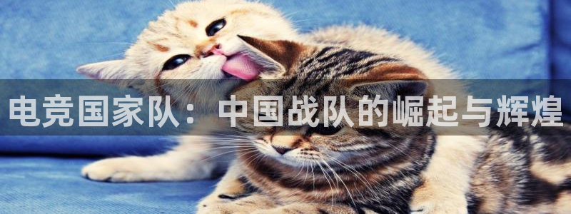 db电竞平台：电竞国家队：中国战队的崛起与辉煌