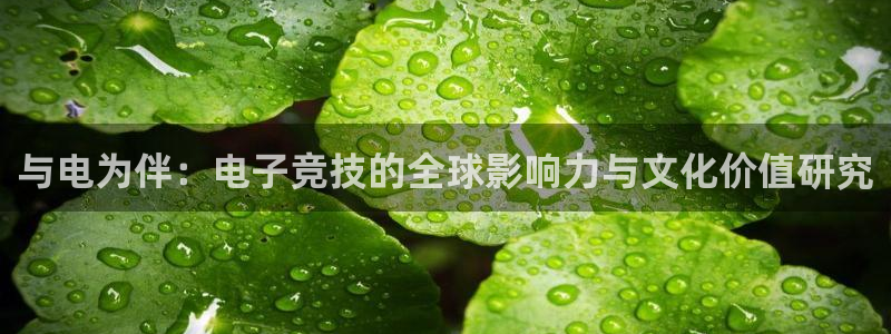 db电竞下载：与电为伴：电子竞技的全球影响力与文化价值研究