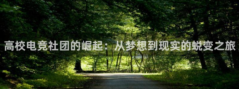 db电竞平台：高校电竞社团的崛起：从梦想到现实的蜕变之旅
