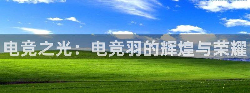 db电竞下载：电竞之光：电竞羽的辉煌与荣耀