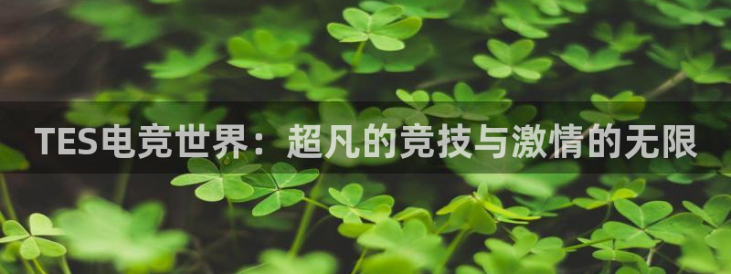 db电竞网页版：TES电竞世界：超凡的竞技与激情的无限