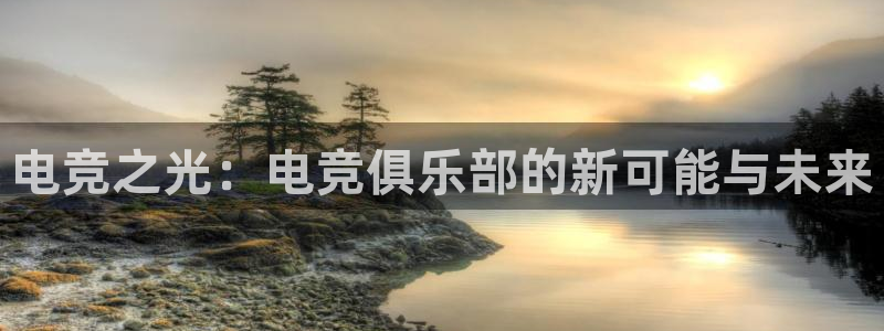 db电竞\'：电竞之光：电竞俱乐部的新可能与未来